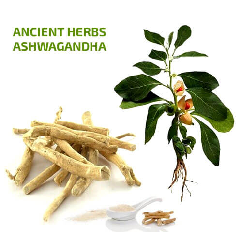 Natural Ancient Ashwagandha root powder