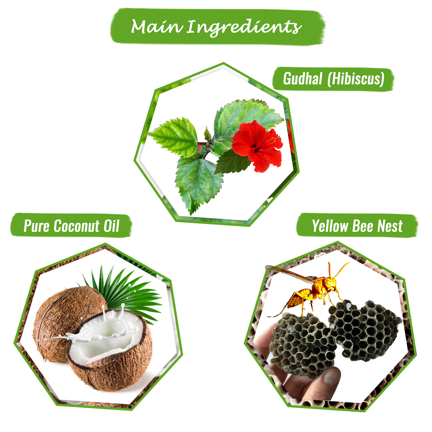 Yellow Bee Nest  Hair Oil for Hair Growth and Hair Fall Control - With Tataiya chatta Oil