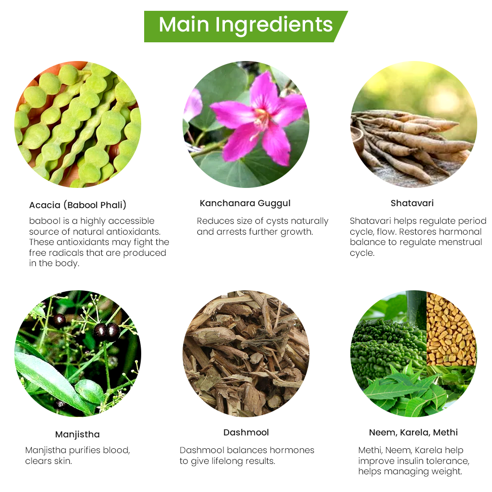 Ayurvedic Formulation for PCOD Supplements for Women with Babul Phali Powder, kanchnar guggul, Shatavari, dashmool | PCOS Supplements for Women Promoting Better Cycle & Hormonal Balance